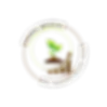 SEEDS MEDIA _ WE GROW WITH YOU (Transparent).webp