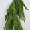 Thumbnail: 58” NATURAL TOUCH NORFOLK PINE GARLAND