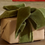 Thumbnail: OLIVE GREEN VELVET RIBBON