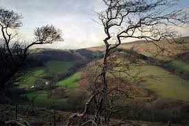 Hiraeth