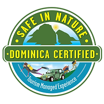 Safe in Nature Logo.png