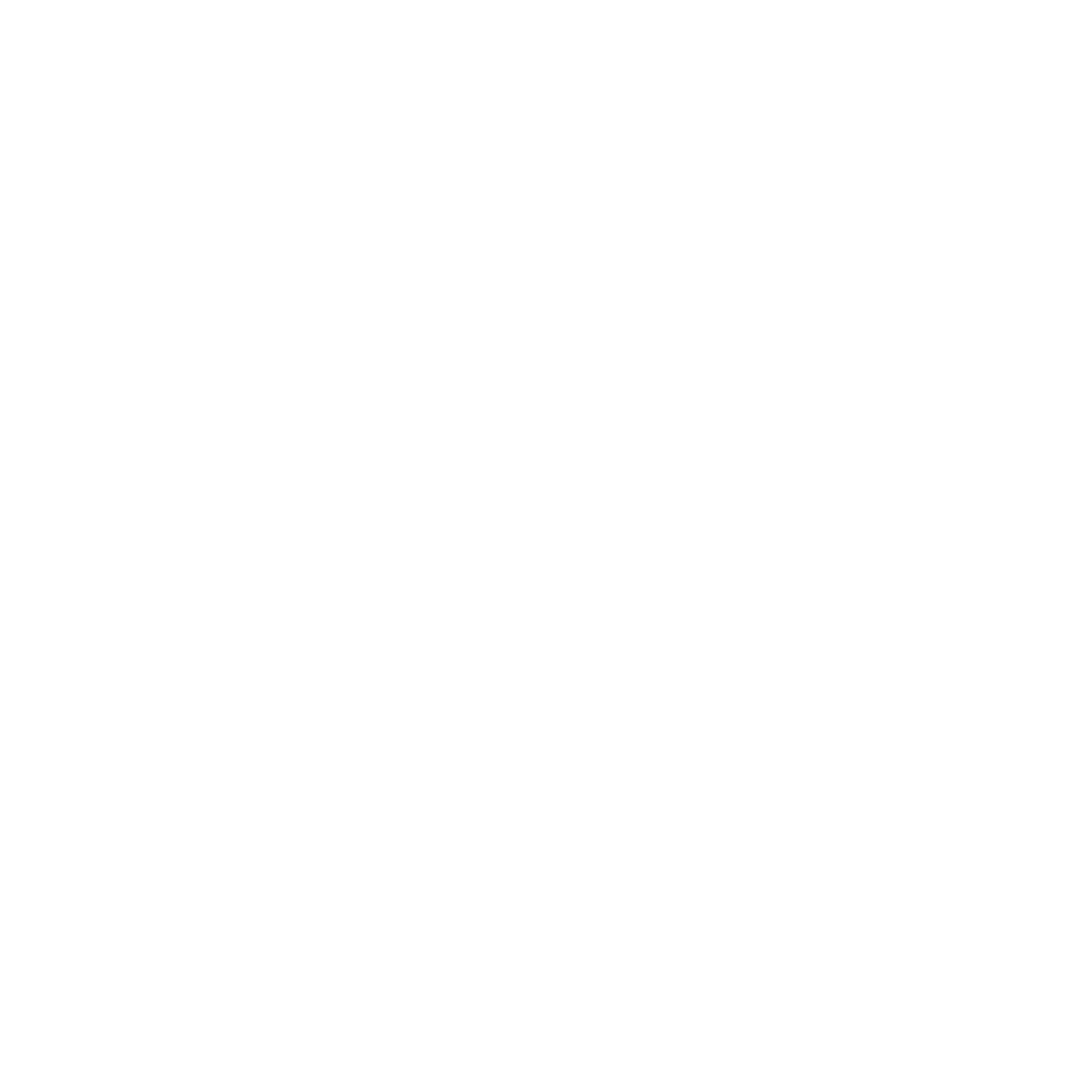Channel 5 logo