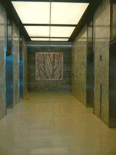 IMG-20111120-00552.gif