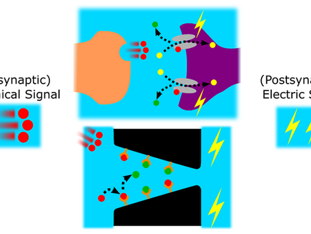 Publication in PRR