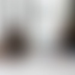 A female entrepreneur is working on her personal branding by seeking advice through a mentor.