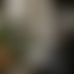 An entrepreneur is learning how to network using Succeed and Elevate's practical networking strategies.