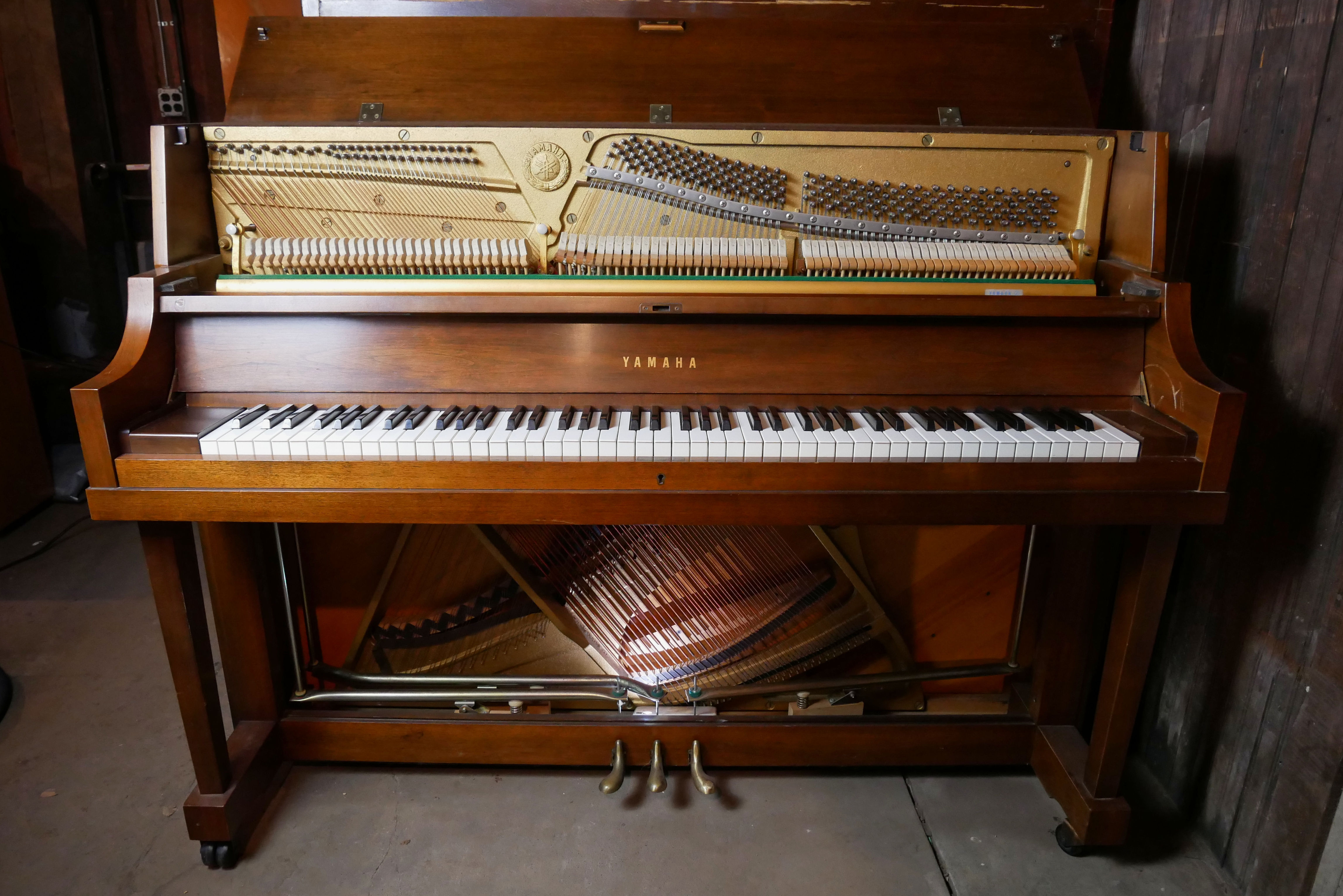 Yamaha P202