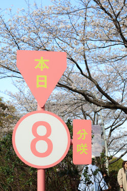 7M2A9833 のコピー