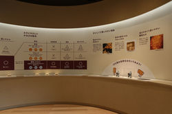 7M2A8745 のコピー