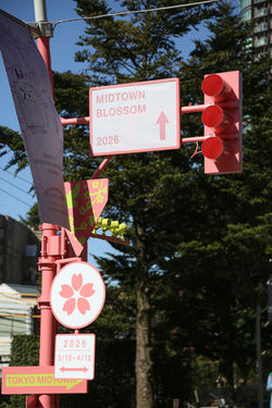 7M2A9668 のコピー