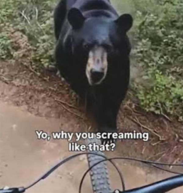 Yo, why you screaming like that?