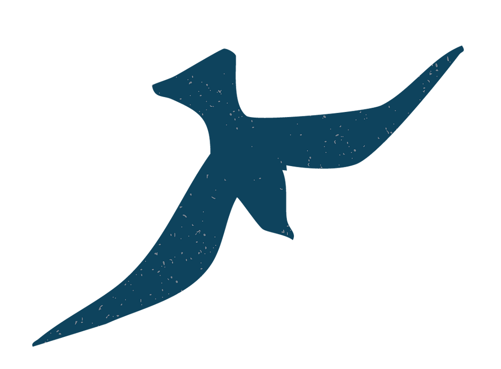 birds-35.png