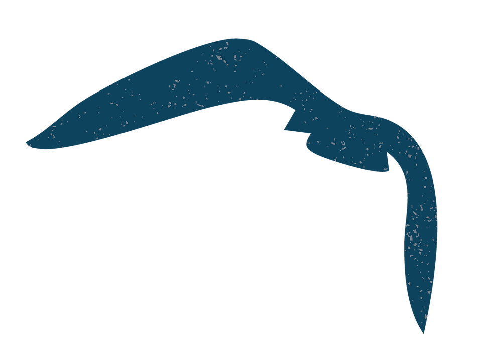 birds-32.png