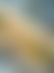 Tarta ze Szparagami i Jajkami