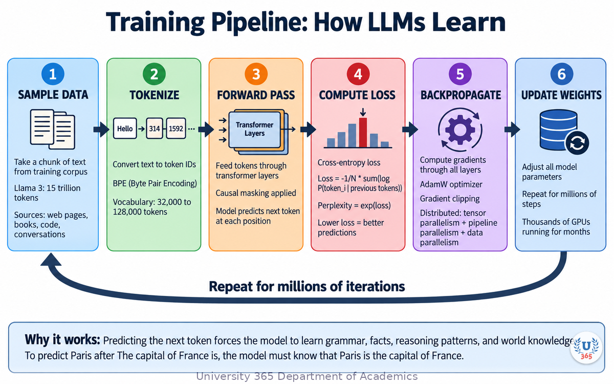 LLM training pipeline: 6-stage loop from data sampling to weight updates