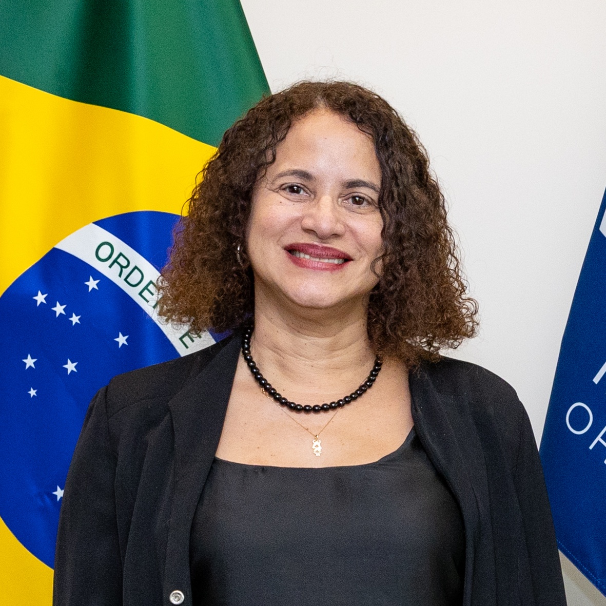 Luciana Santos, Minister of Science, Technology and Innovation of Brazil, as of 2026.