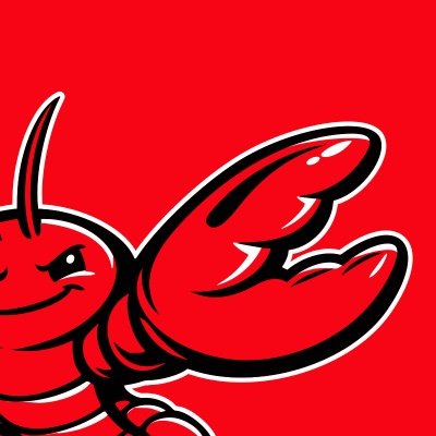The project's own account on X, @openclaw, whose avatar carries the project's own mark