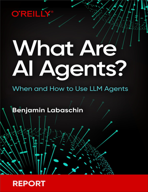 What Are AI Agents? (Benjamin Labaschin)