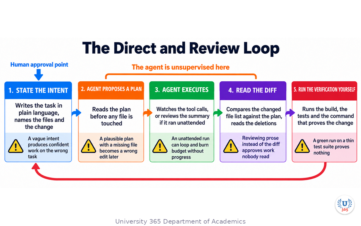 The five-stage direct and review loop, showing what the human does at each stage and the failure risk alongside it