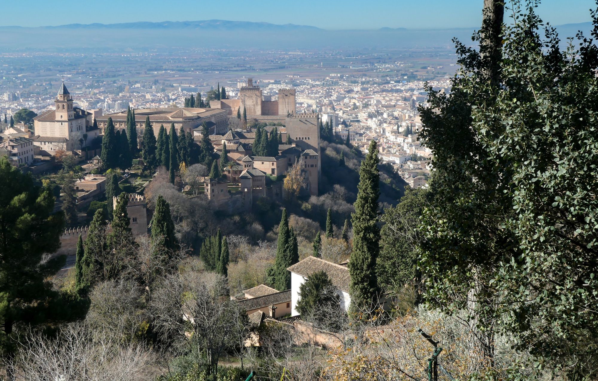 The Alhambra in Granada with the city below and cypress trees on the slope.