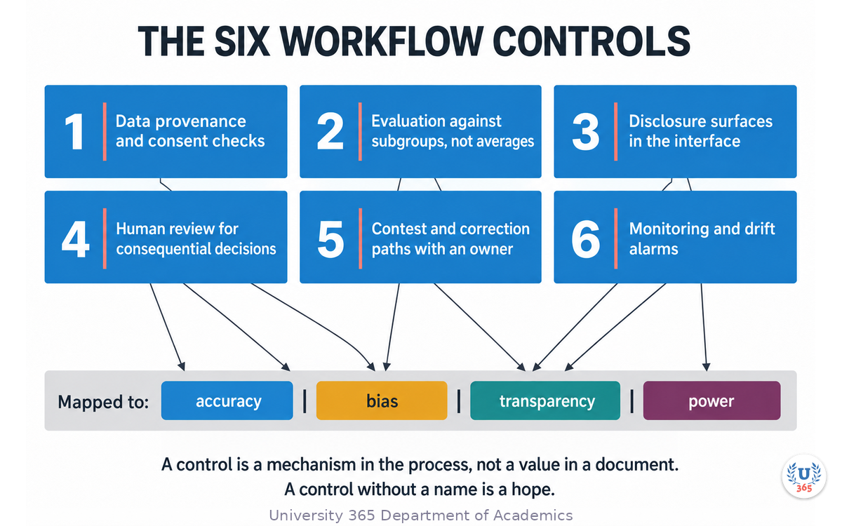The six workflow controls aligned to the four harm families, with the process point where each control lives