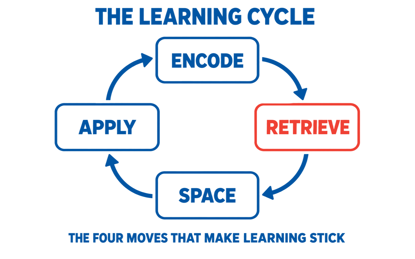 A four-stage cycle: encode, retrieve, space, apply, with retrieve marked as the stage that does the work.