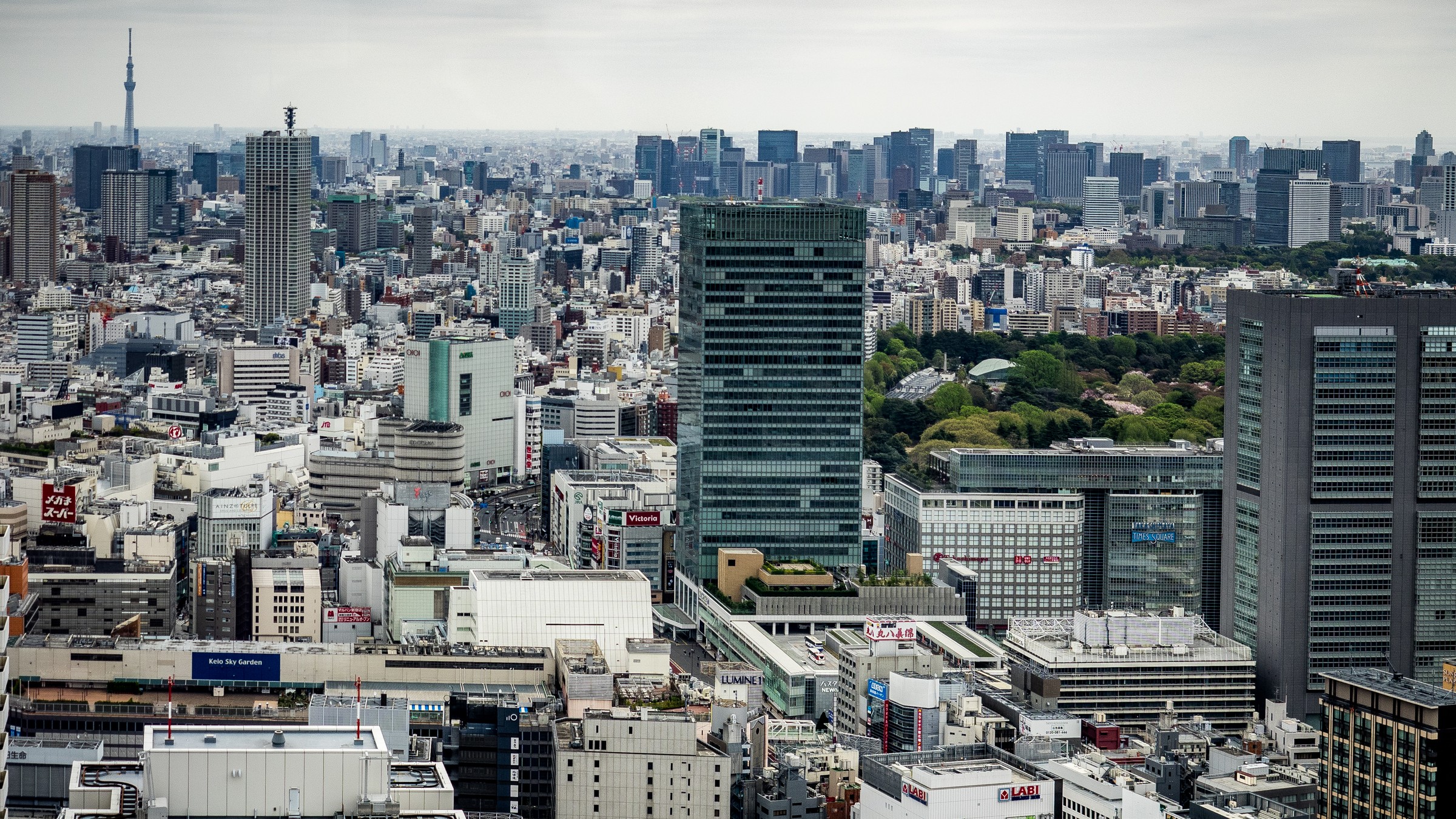The Shinjuku skyline at dusk, Tokyo.