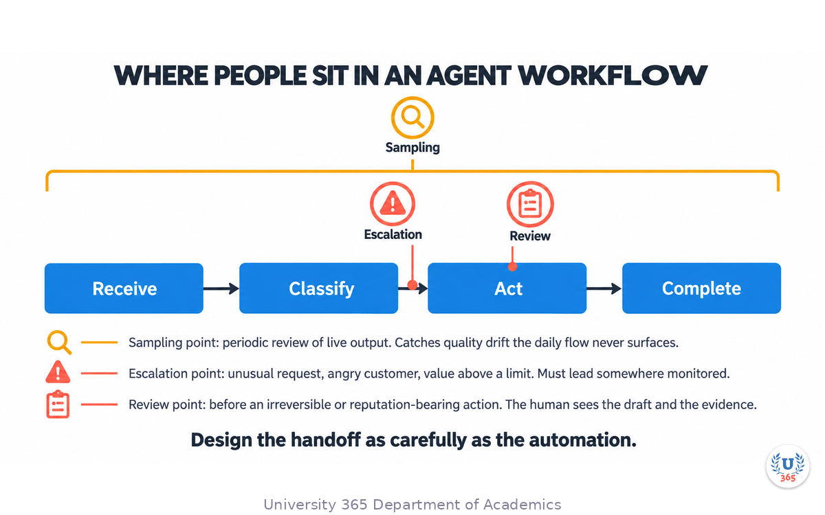 The three human touchpoints (review, escalation, sampling) placed on an agent workflow, with the decision each one guards