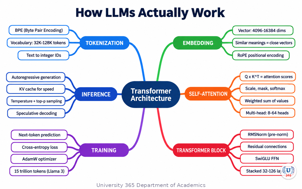Complete mindmap of transformer architecture: tokenization, embedding, self-attention, transformer block, training, inference