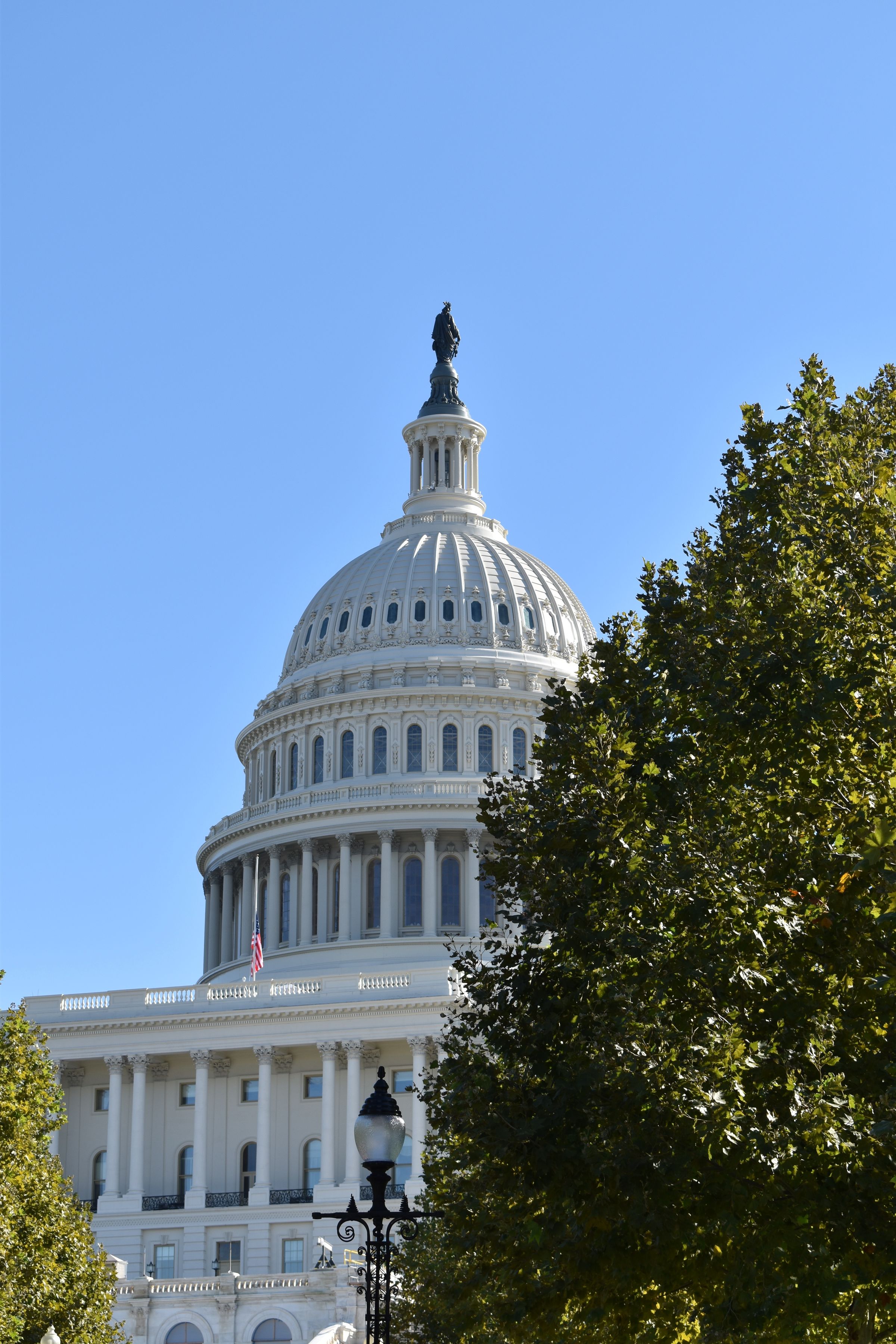 The United States Capitol, Washington, DC.