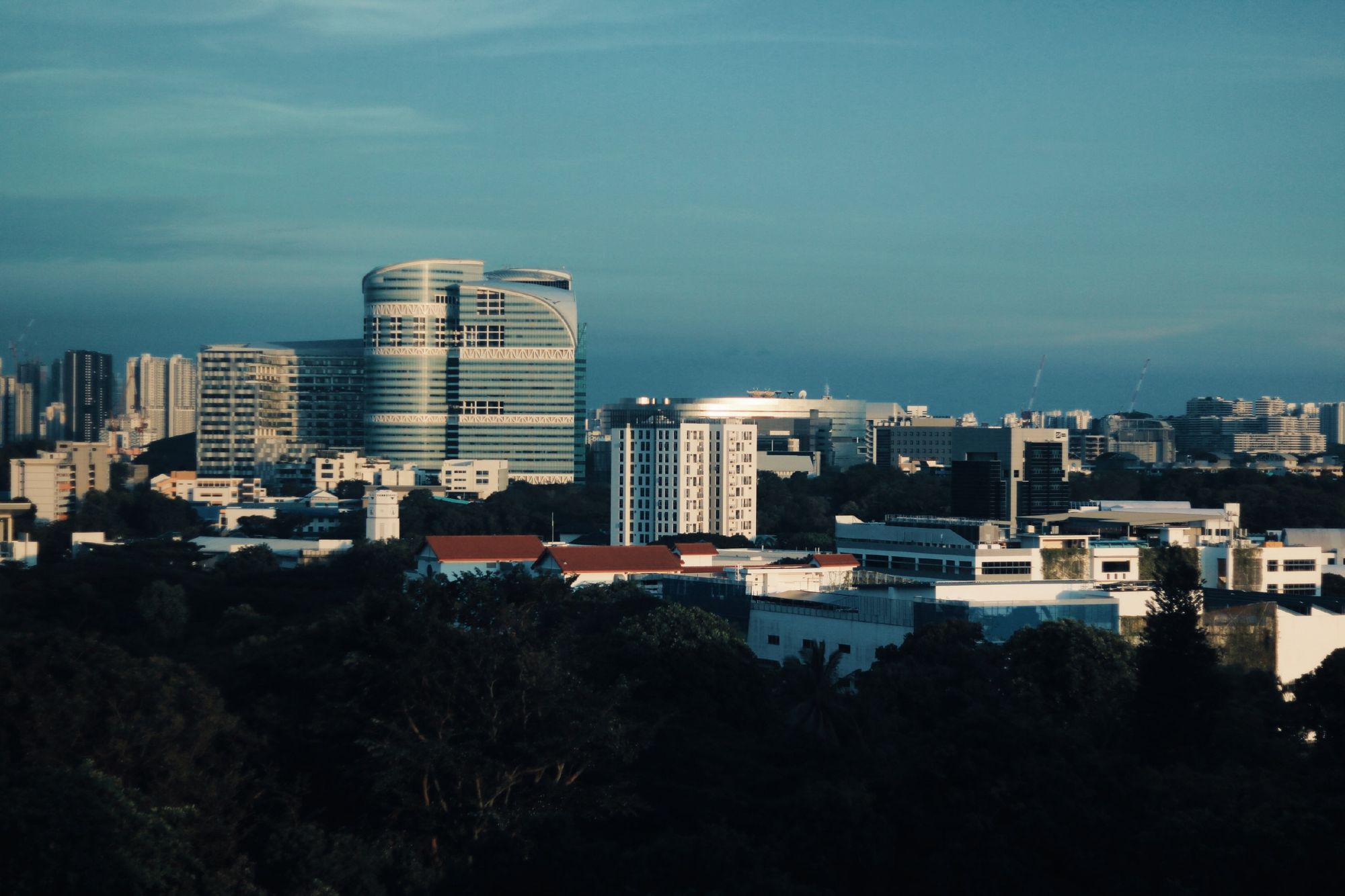 The Singapore skyline seen across greenery.