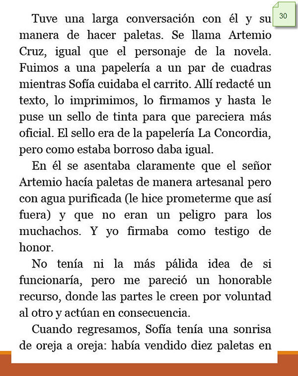 CAP13IMG30.jpg