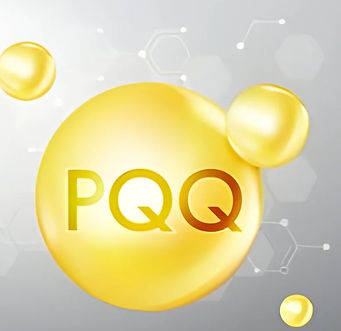 PQQ