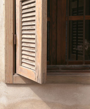 Fenster