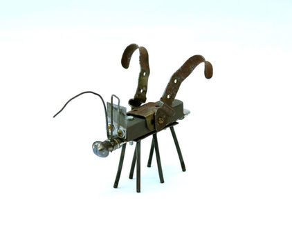 Scarabäus ferrugo Künzii (Künzscher Rostkäfer)