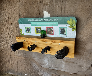 Ouwehands Dierenpark Zoo educatieve objecten peerdrops bonobo interactie natuur informatieborden