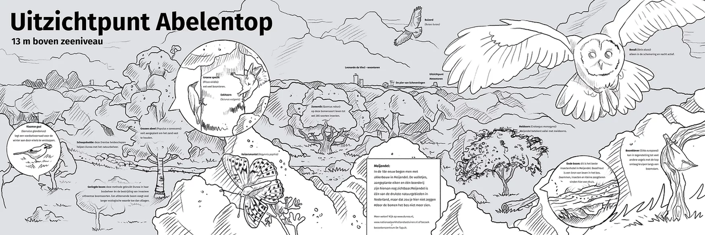 panorama_1_Abelentop.webp