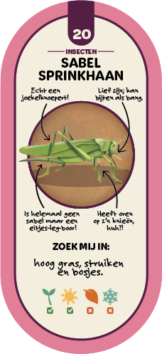 TikOO20_Sabelsprinkhaan.png