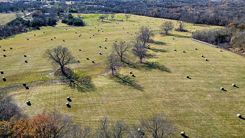 dji_fly_20251126_103128_171_1764175124939_photo_optimized.JPG
