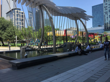 Best Things To Do in Houston for First-Time Visitors