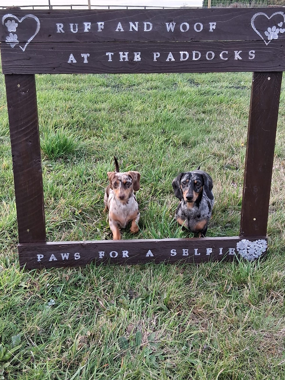 PHOTO-2025-09-19-19-15-40