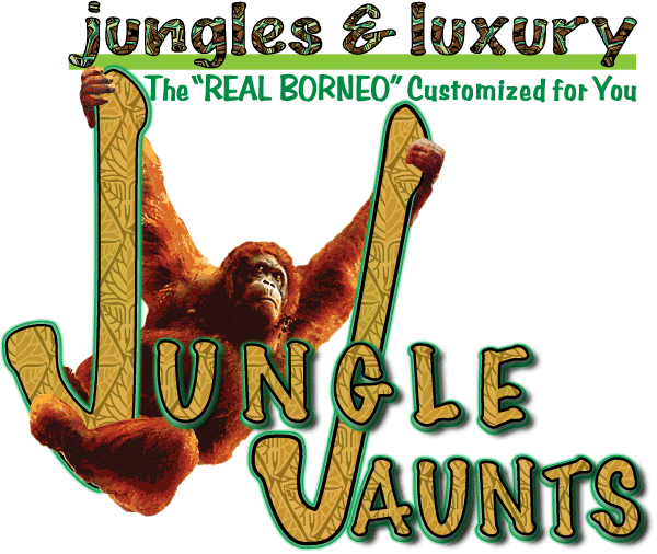 jungle jaunts borneo