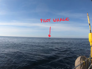 Sailing West along the coastline of Southern Europe - France to Gibraltar