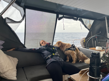 Transat - Breakages and risk mitigation