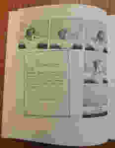 Kjære rikard.jpeg
