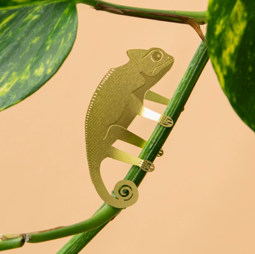Plant Animal Houseplant Charms