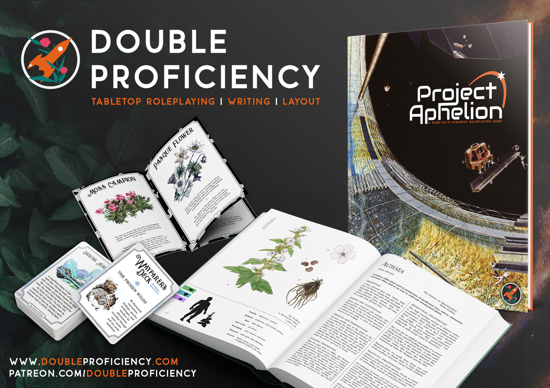 doubleproficiency.com