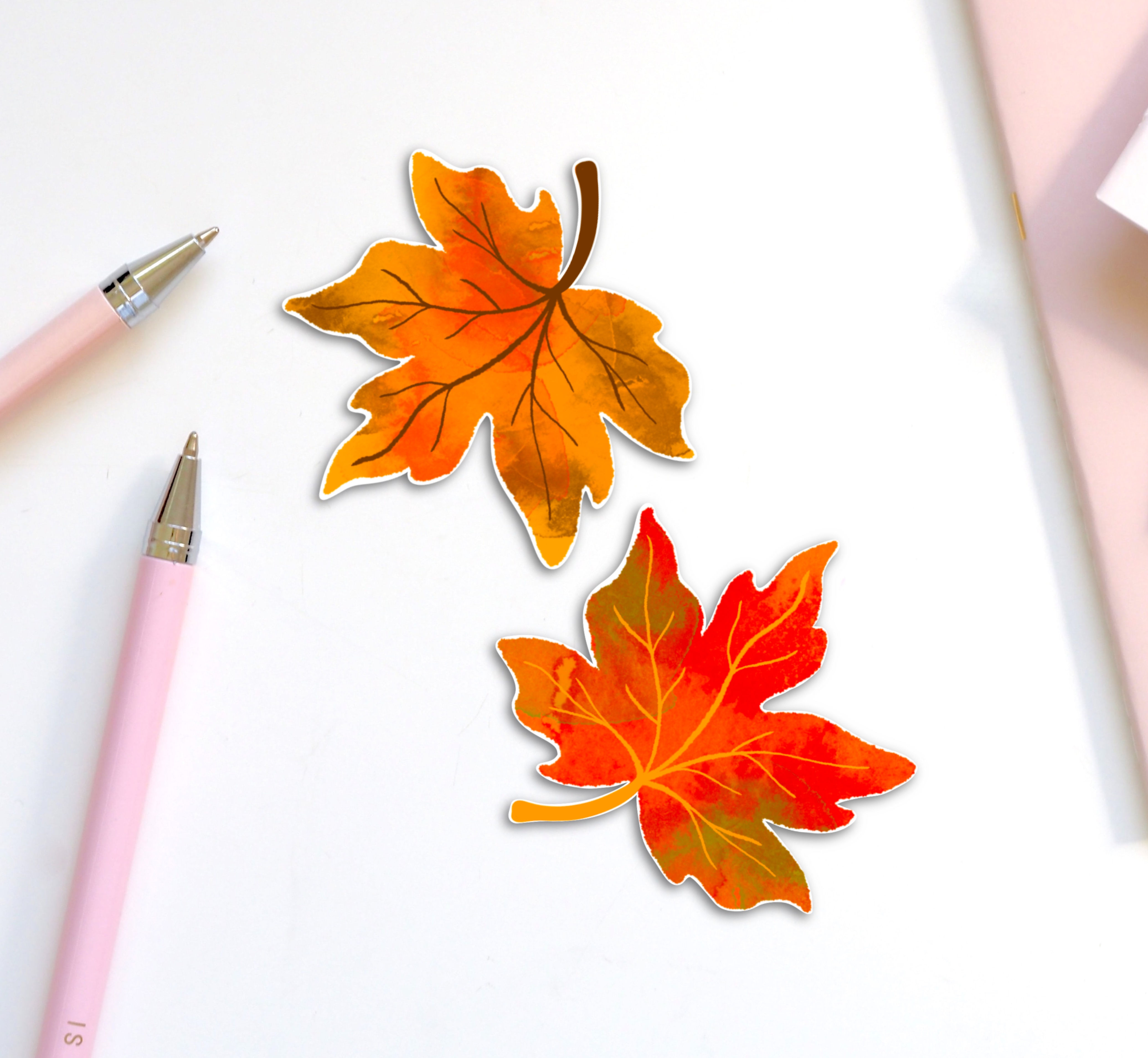Autumn Maple Leaves