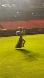 IMG_4276.gif