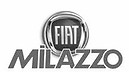 Fiat_edited.jpg